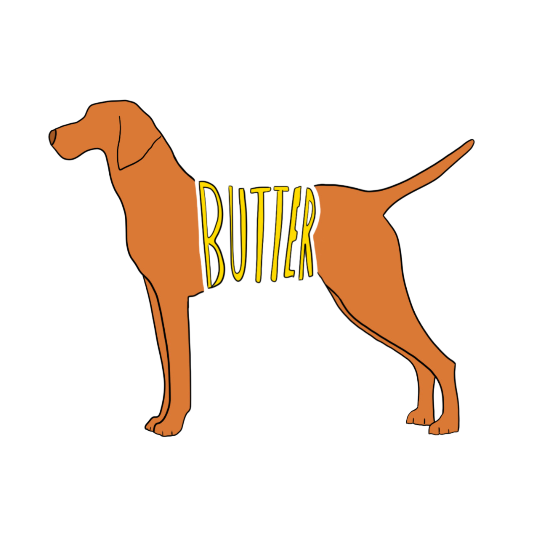 Butter Dog Hoodie (Faded Grey)